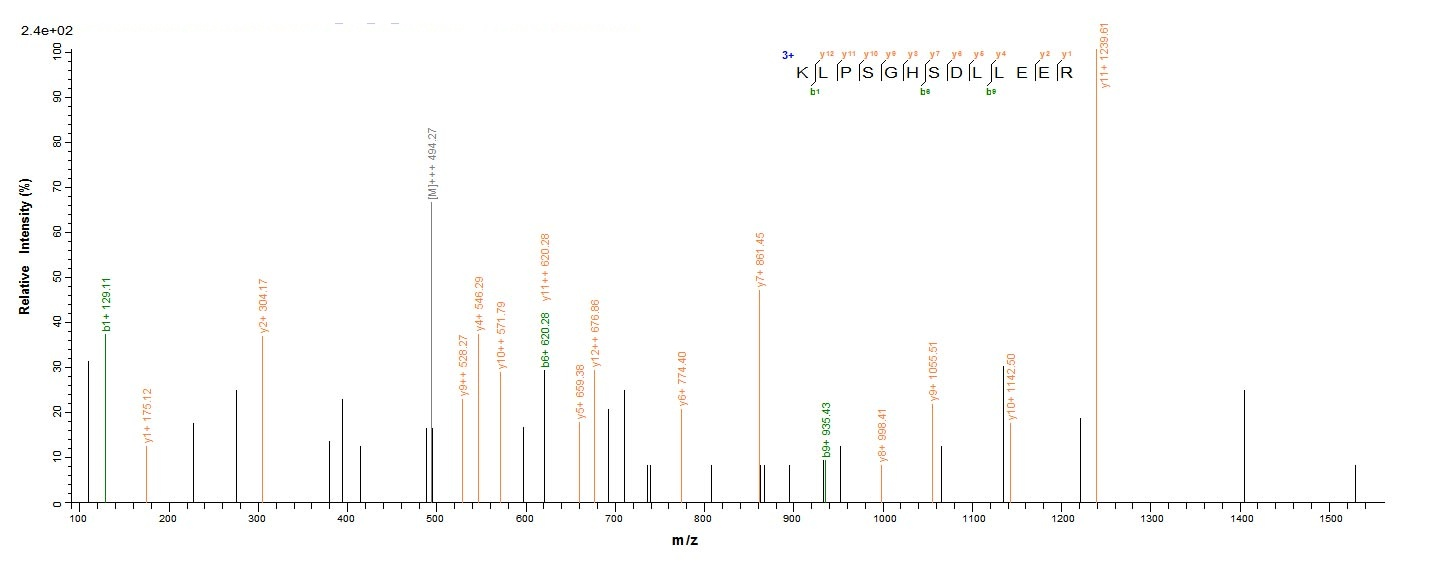 Human NR1H4 Protein蛋白，orb24489