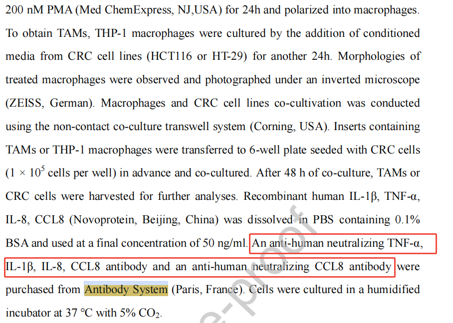 InVivoMAb Anti-Human IL8/CXCL8