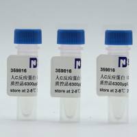 肺炎克雷伯菌DNA标准品