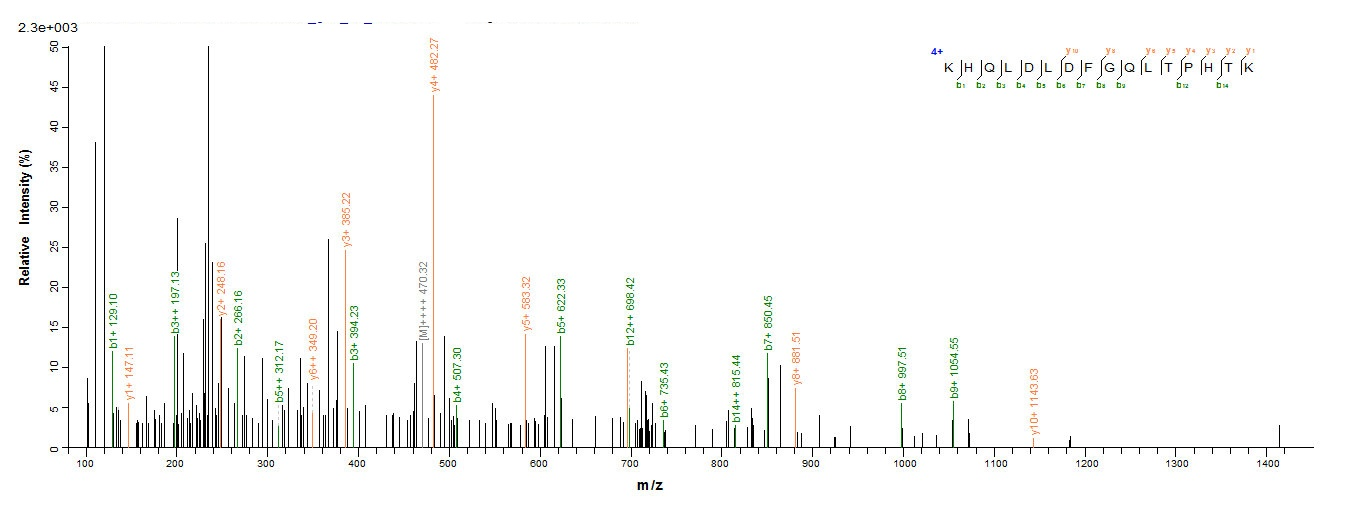 Human BLLF1 Protein蛋白，orb35855