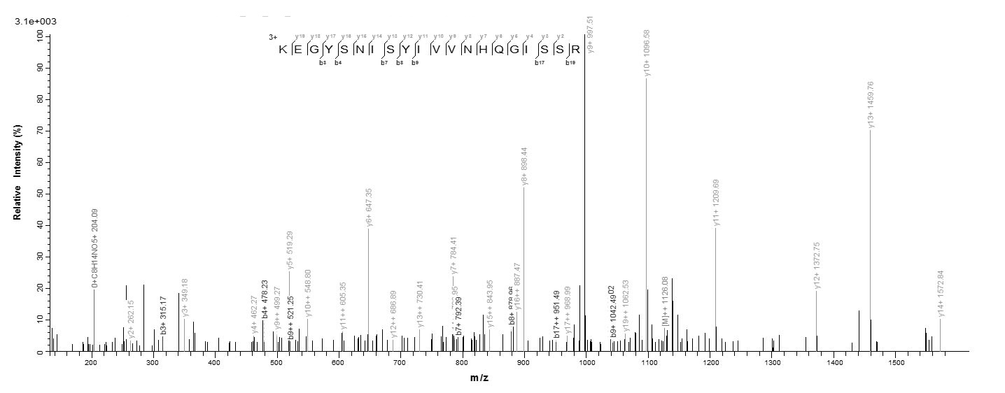 Human SEPP1 Protein蛋白，orb24598