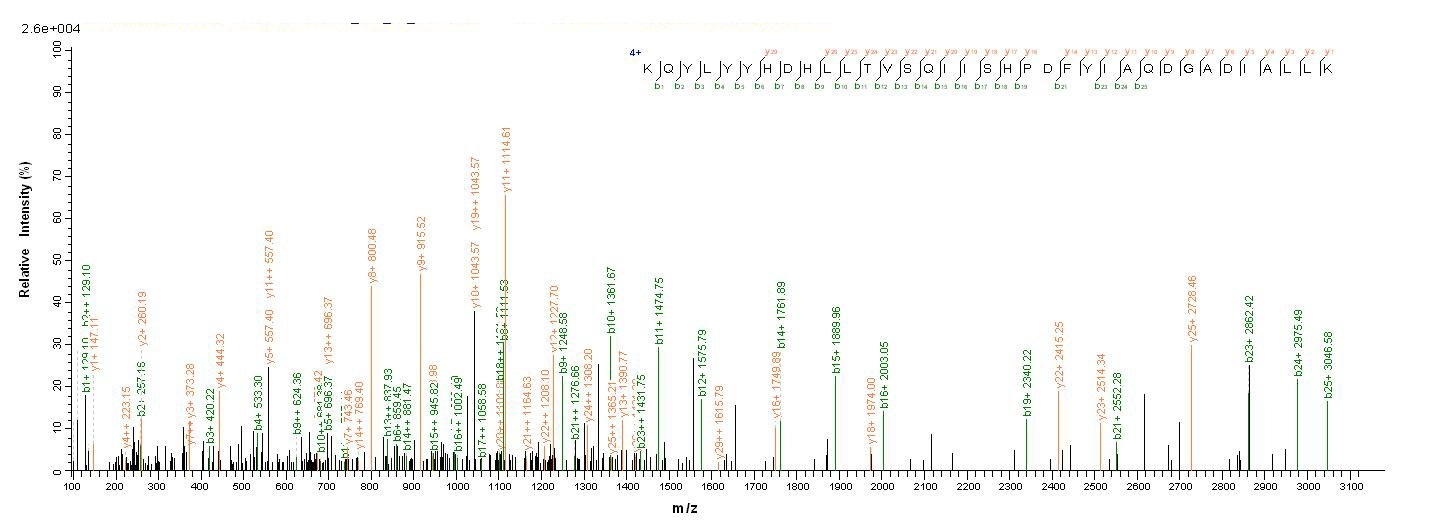 Mouse Tpsab1 Protein蛋白，orb2446