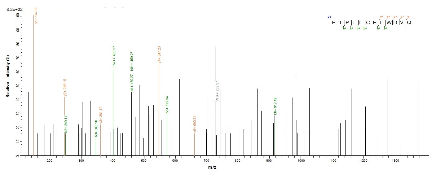 Human NR1H4 Protein蛋白，orb24489