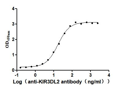 重组蛋白 Human Killer cell immunog