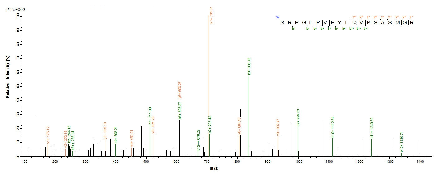 Bacterial fbpC Protein蛋白,orb35