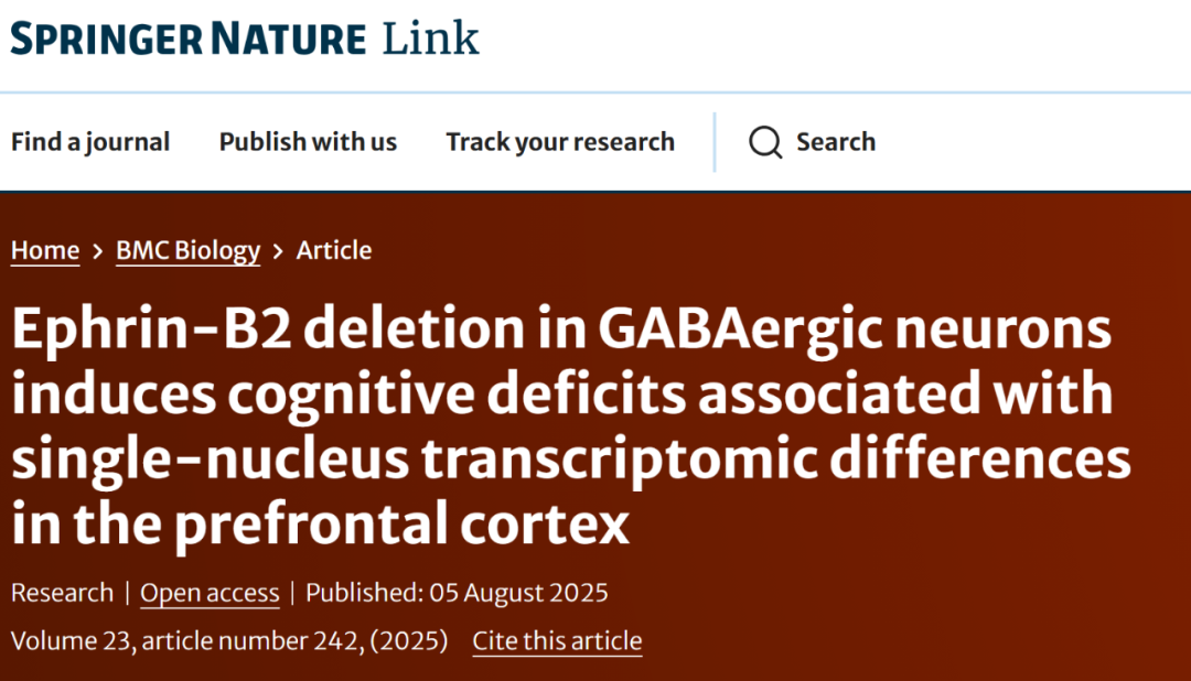 认知缺陷机制研究获突破，MED64助力突触电信号解析