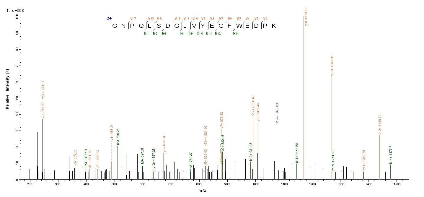 Human IDO Protein蛋白，orb245870，