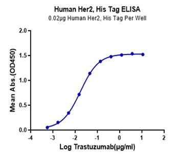 重组蛋白 human ErbB2 / Her2 Protei