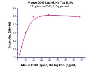 CD40 Ligand 重组蛋白，orb1227693，bi