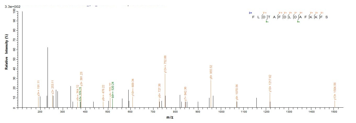 Mouse Ogdh Protein蛋白，orb358420
