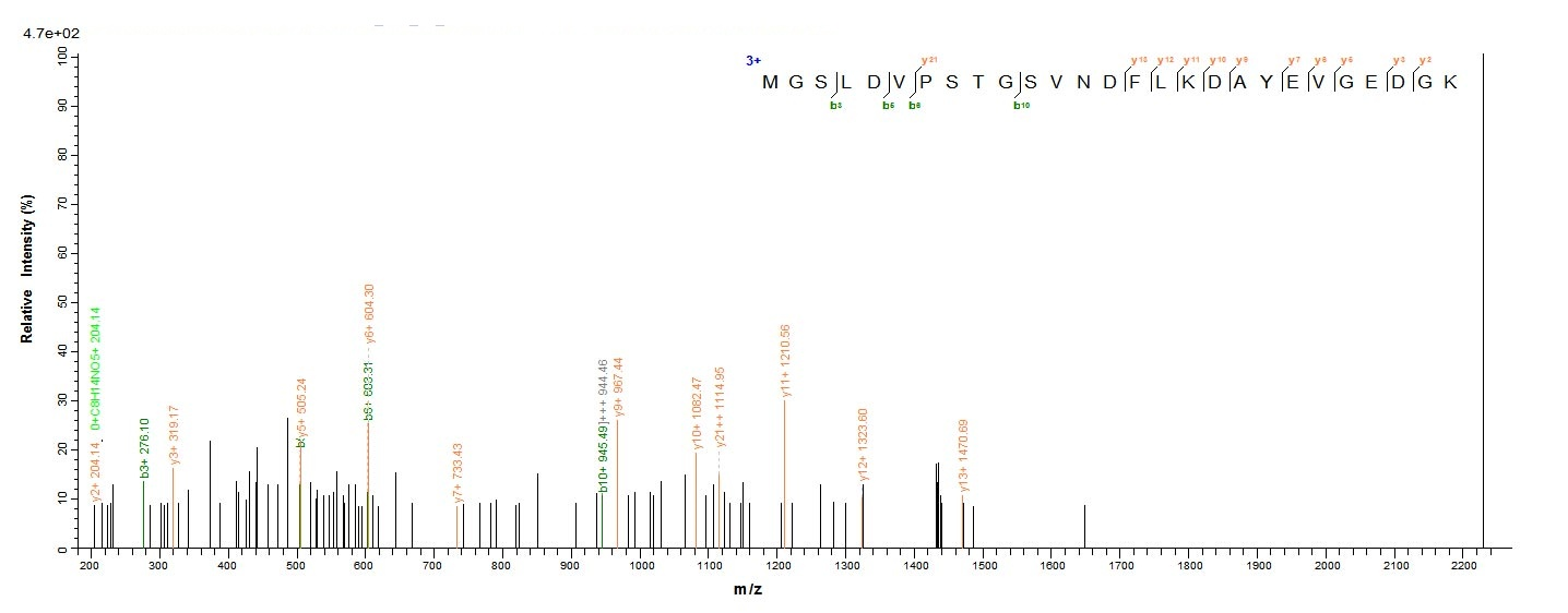 Animal Major egg antigen Prote