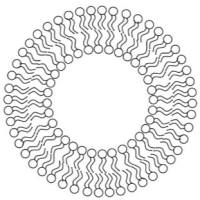 奥曲肽（OCT）修饰脂质体（Lipsome）递送血管生成抑制剂用于肿瘤抗血管生成治疗