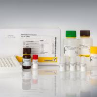 RIDASCREEN®FAST Hazelnut (榛子检测试剂盒)