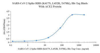 重组蛋白 SARS-Cov-2 Spike RBD Prot