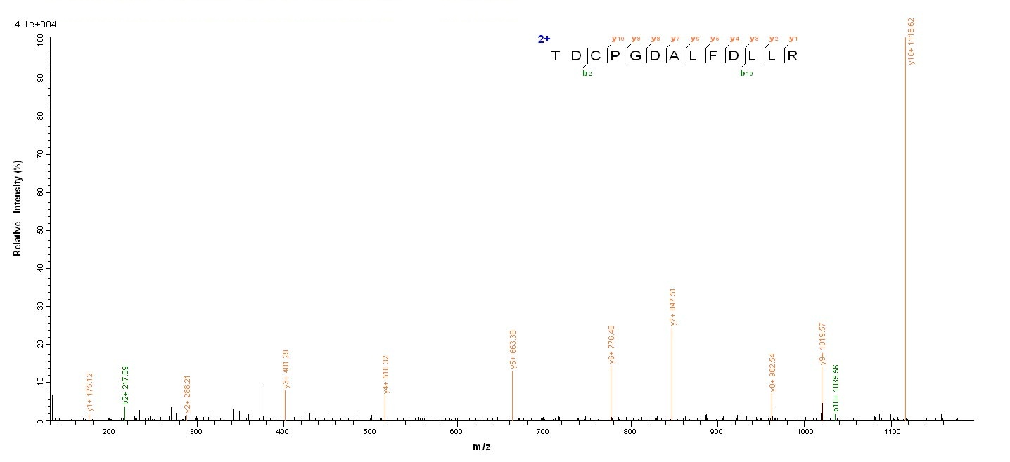 Human PGLYRP2 Protein蛋白，orb246
