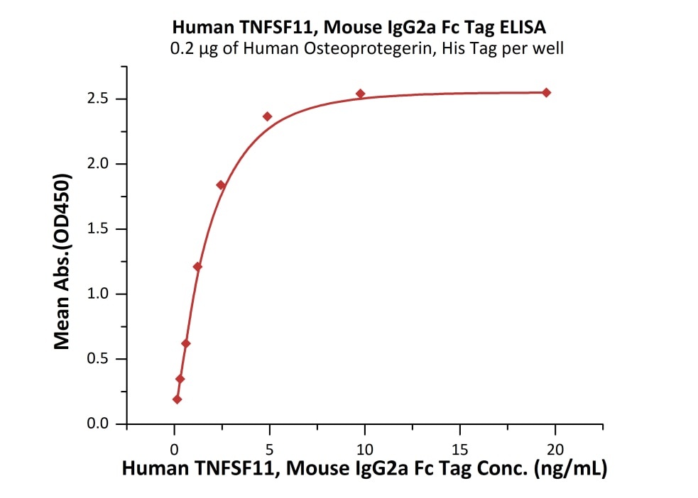 TNFSF11 / RANKL / CD254 重组蛋白，o