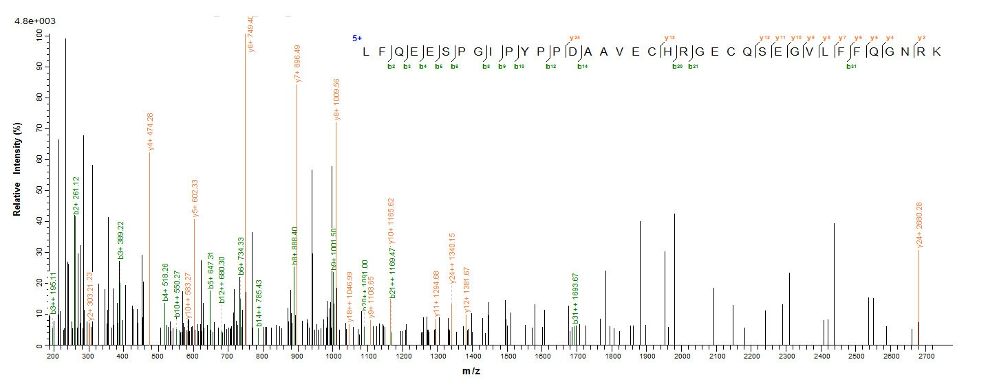 Rat Hpx Protein蛋白，orb244277，bi