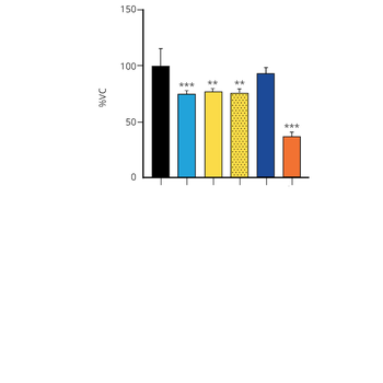 Alpha Synuclein A53T Mutant Pr