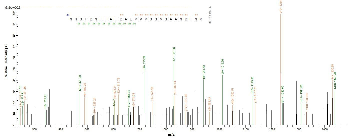 Fungi fap2 Protein蛋白，orb605180