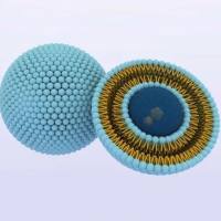 奥曲肽(Octreotide)修饰共载阿霉素与量子点的脂质体用于肝癌诊疗一体化