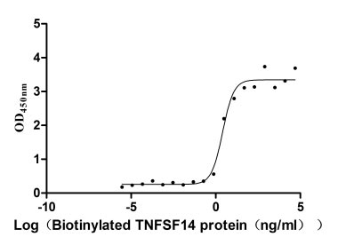 Human TNFRSF14 Protein蛋白，orb70