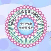 实现可视化精准治疗：奥曲肽修饰脂质体递送金纳米棒用于SSTR介导的光声监控与光热消融