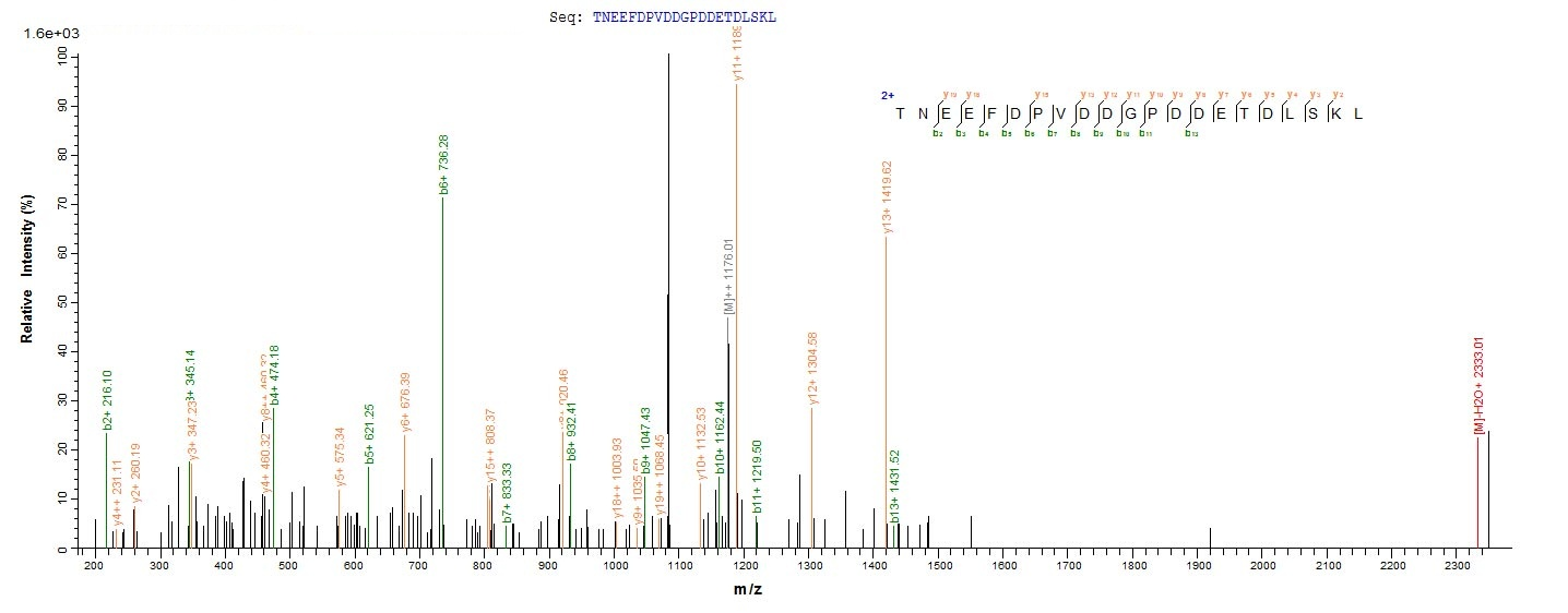 Virus PS/HR Protein蛋白，orb60541