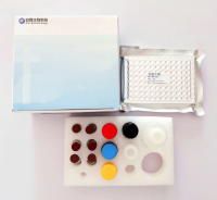 人胞浆型磷脂酶A2(cPLA2)ELISA试剂盒