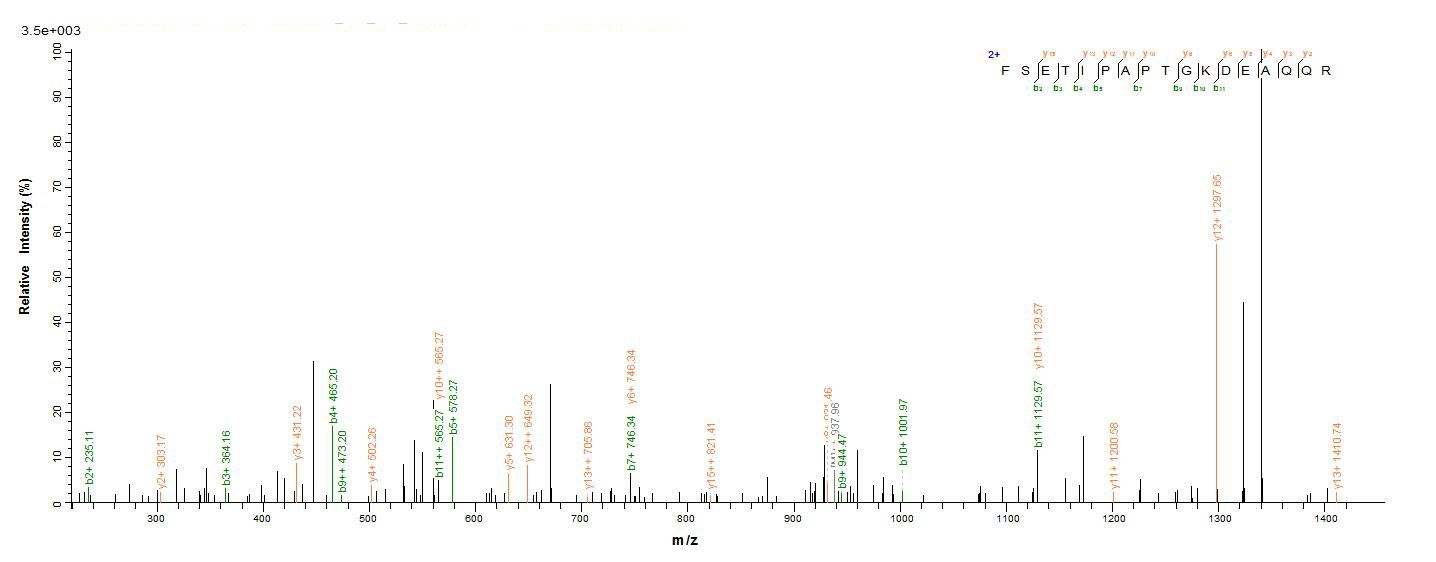 Porcine GH1 Protein蛋白，orb60411