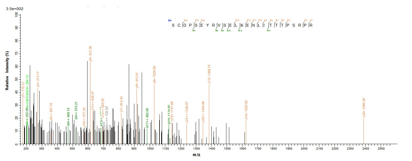 Viral VP3 Protein蛋白，orb54211，b
