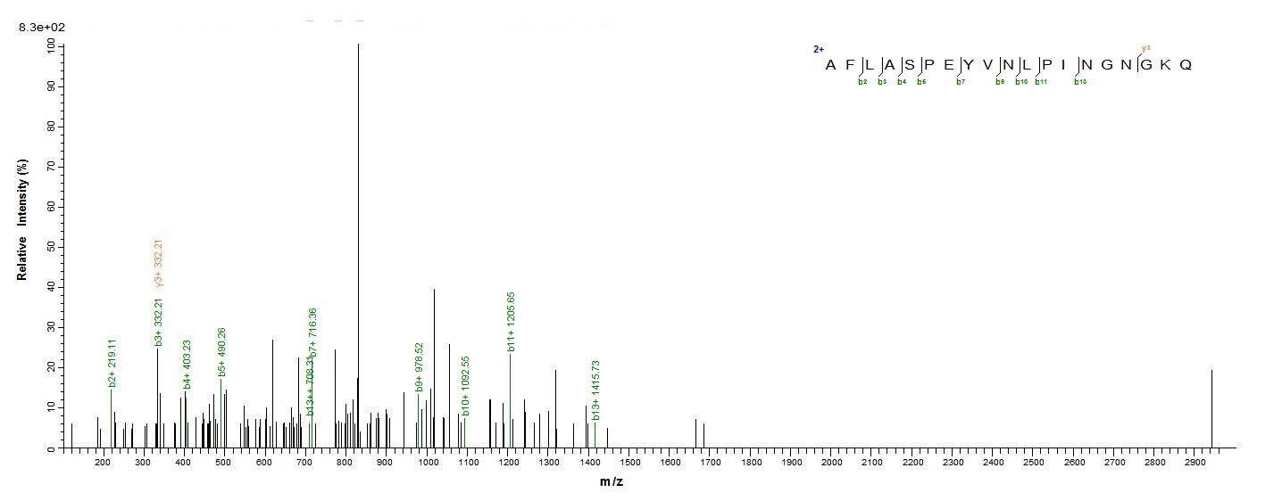 Human GSTP1 Protein蛋白，orb60414