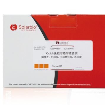 Quick免疫印迹溶液套装（转膜液、封闭液、抗体稀释液、洗涤液）