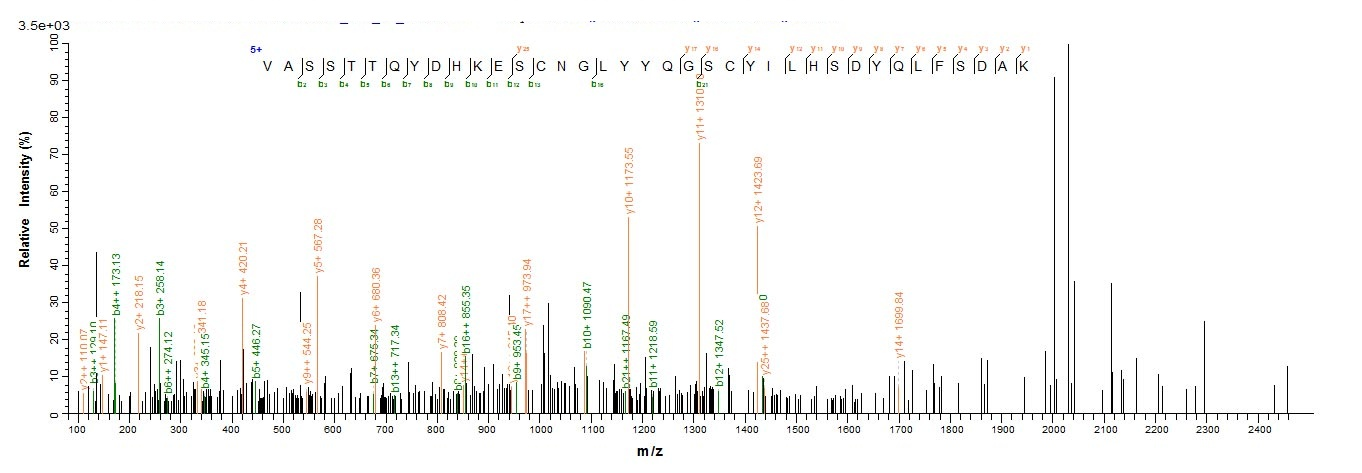 Virus VACWR156 Protein蛋白，orb60