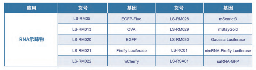mRNA抗原现货：加速体内CAR-T疗法开发的创新引擎