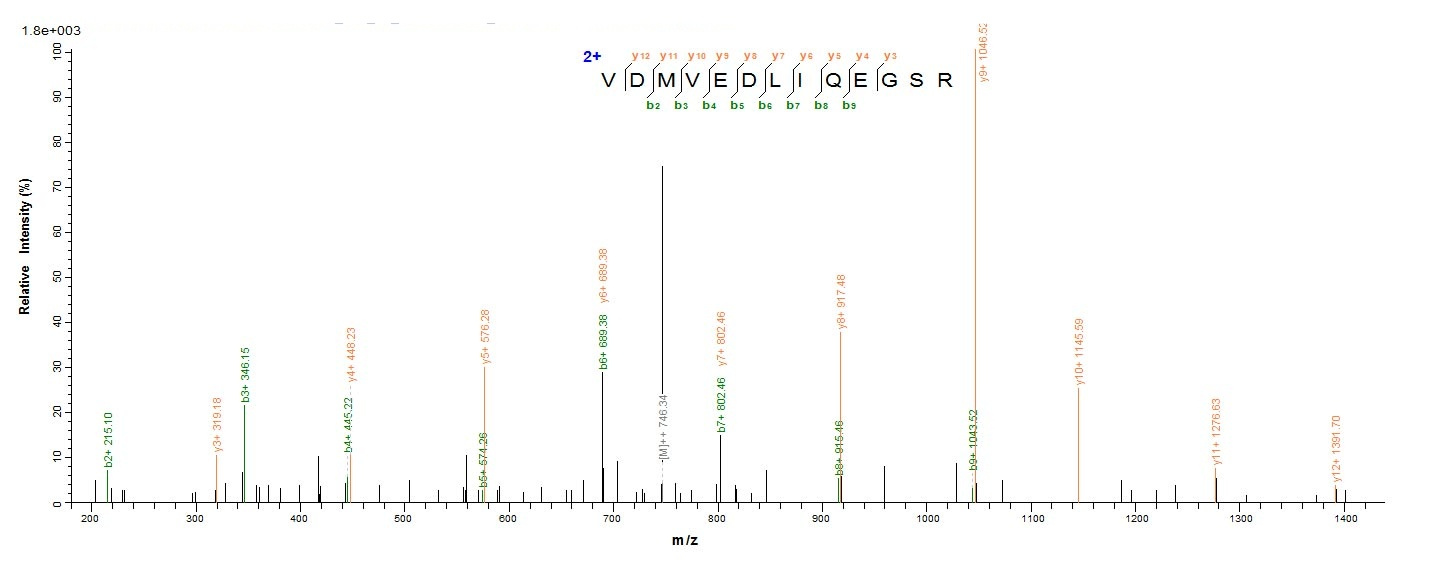 Bacterial PLY Protein蛋白,orb419
