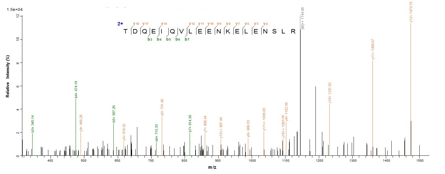 Mouse Fap Protein蛋白，orb54724，b