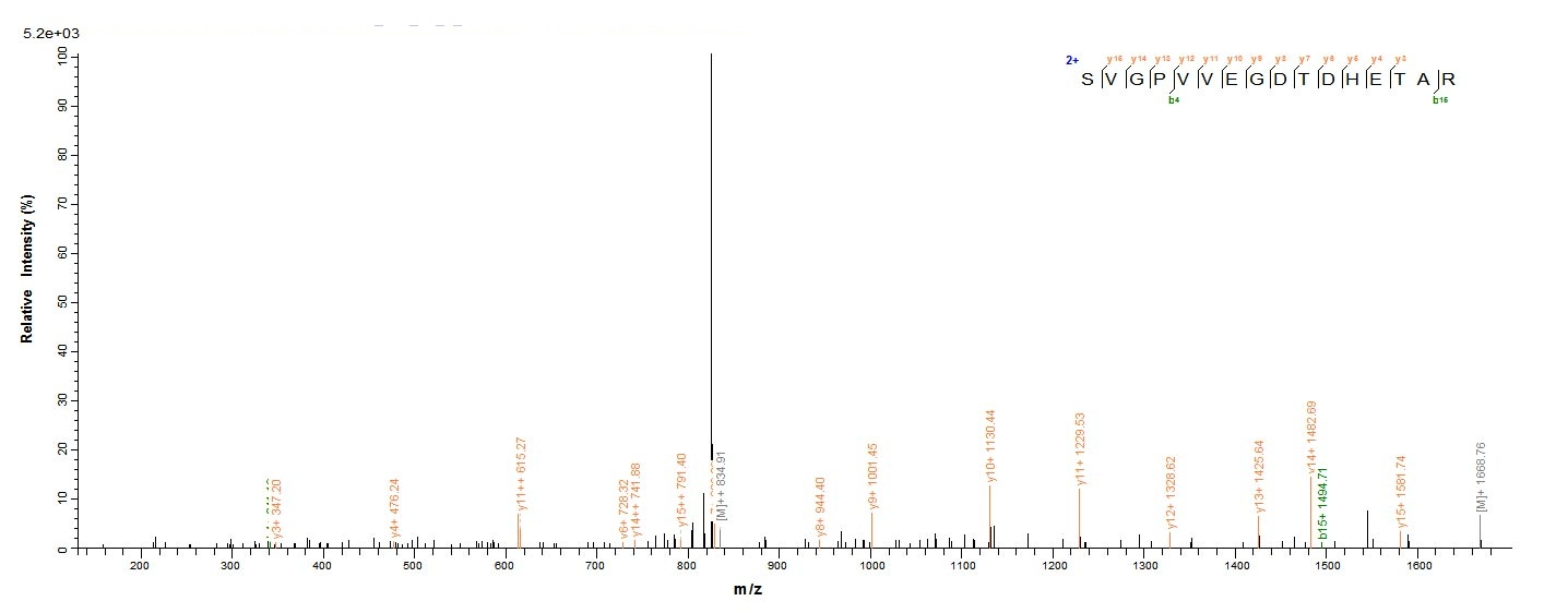 Bacteria btuD Protein蛋白,orb604