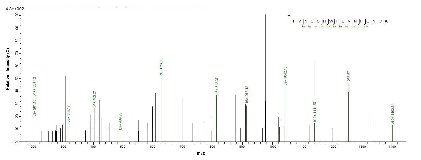 Mouse Il31ra Protein蛋白，orb6050
