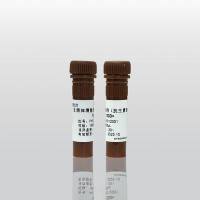 支原体清除剂(抗生素型)