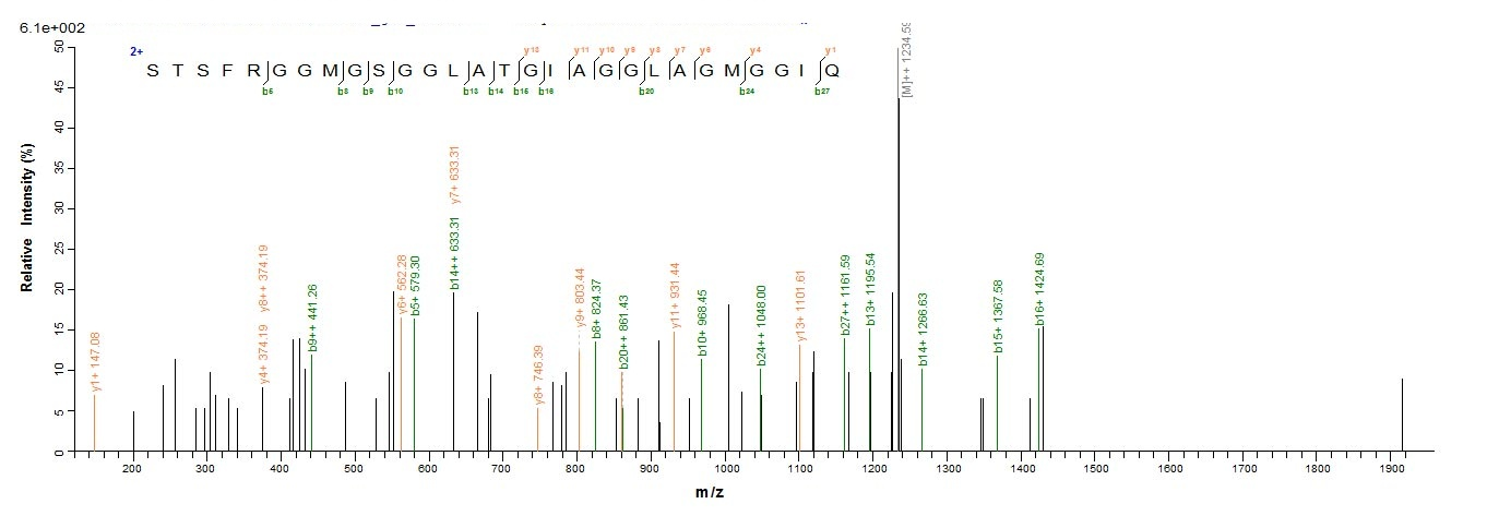 Human KRT18 Protein蛋白，orb54090