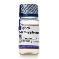 Invitrogen B-27无血清添加剂（50X） 17504044