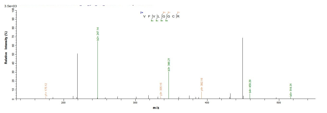 Virus X Protein蛋白，orb605527，bi