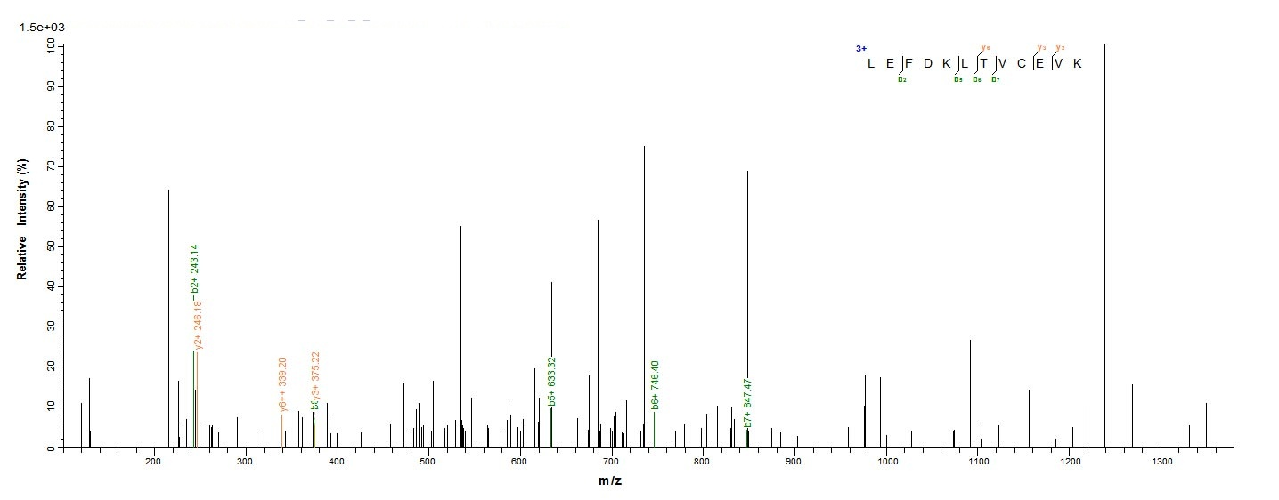 Virus M Protein蛋白,orb605005,bi