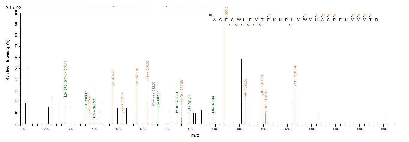 Human ITIH4 Protein蛋白，orb60548