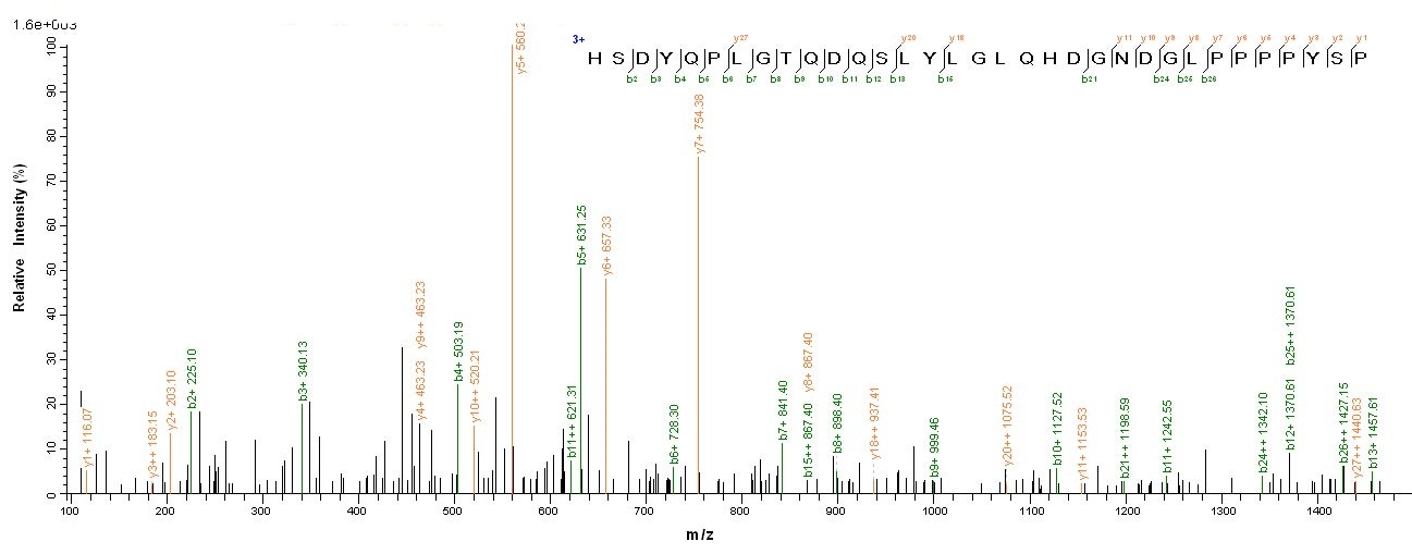 Viral LMP2 Protein蛋白，orb54194，
