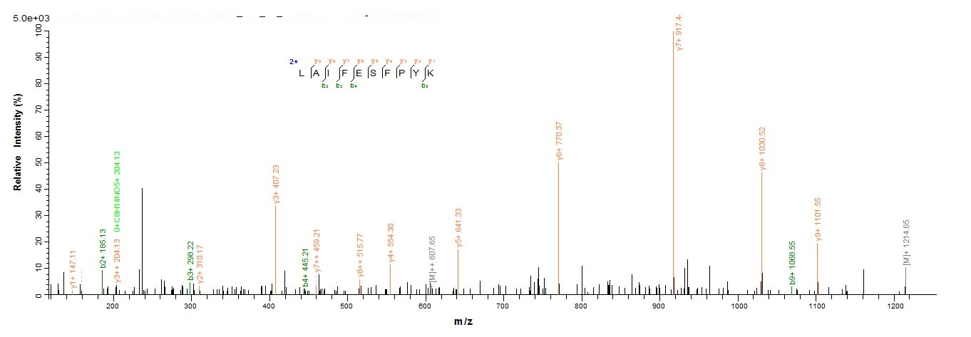 Bacteria acpS Protein蛋白，orb595