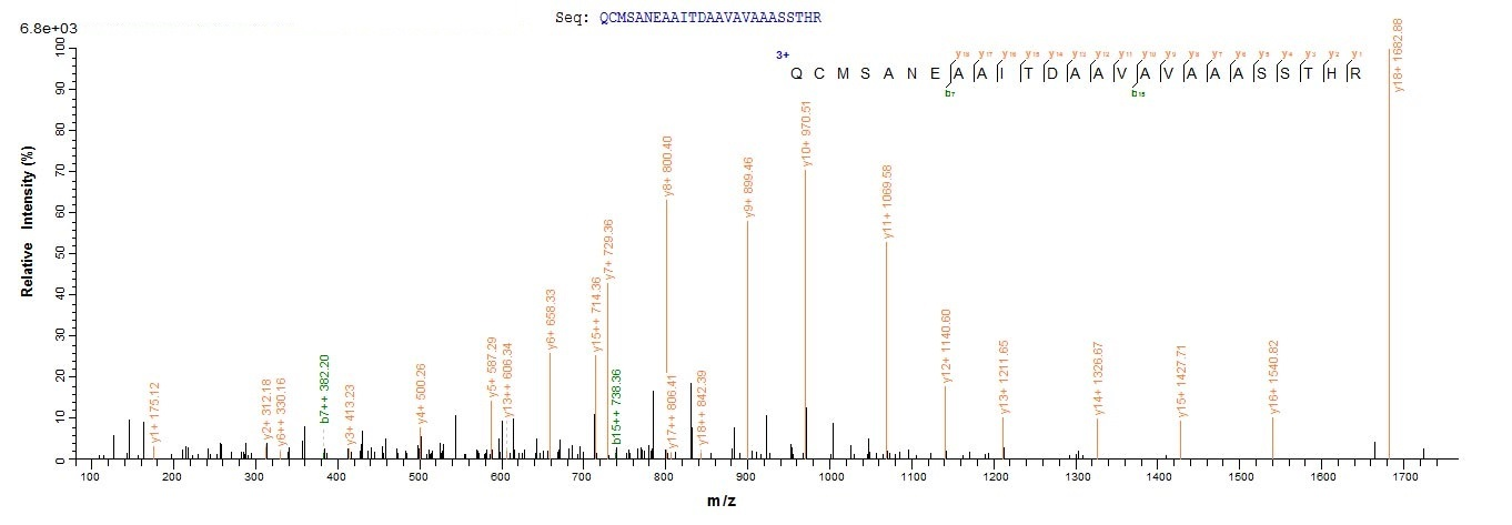 Virus VACWR156 Protein蛋白，orb60