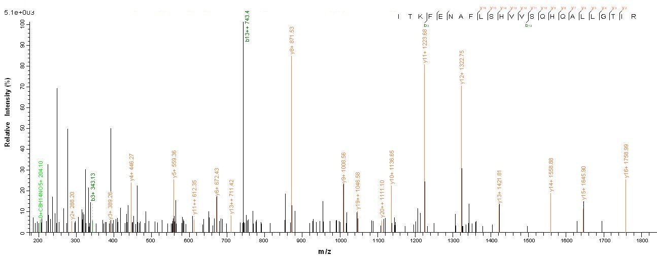 Human ATP5A1 Protein蛋白，orb4187