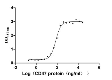Human CD47 Protein蛋白，orb705335