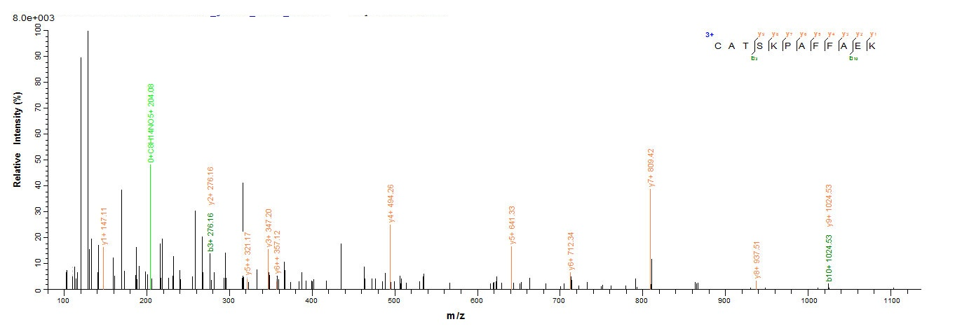 重组蛋白 Human Annexin A1(ANX1),pa